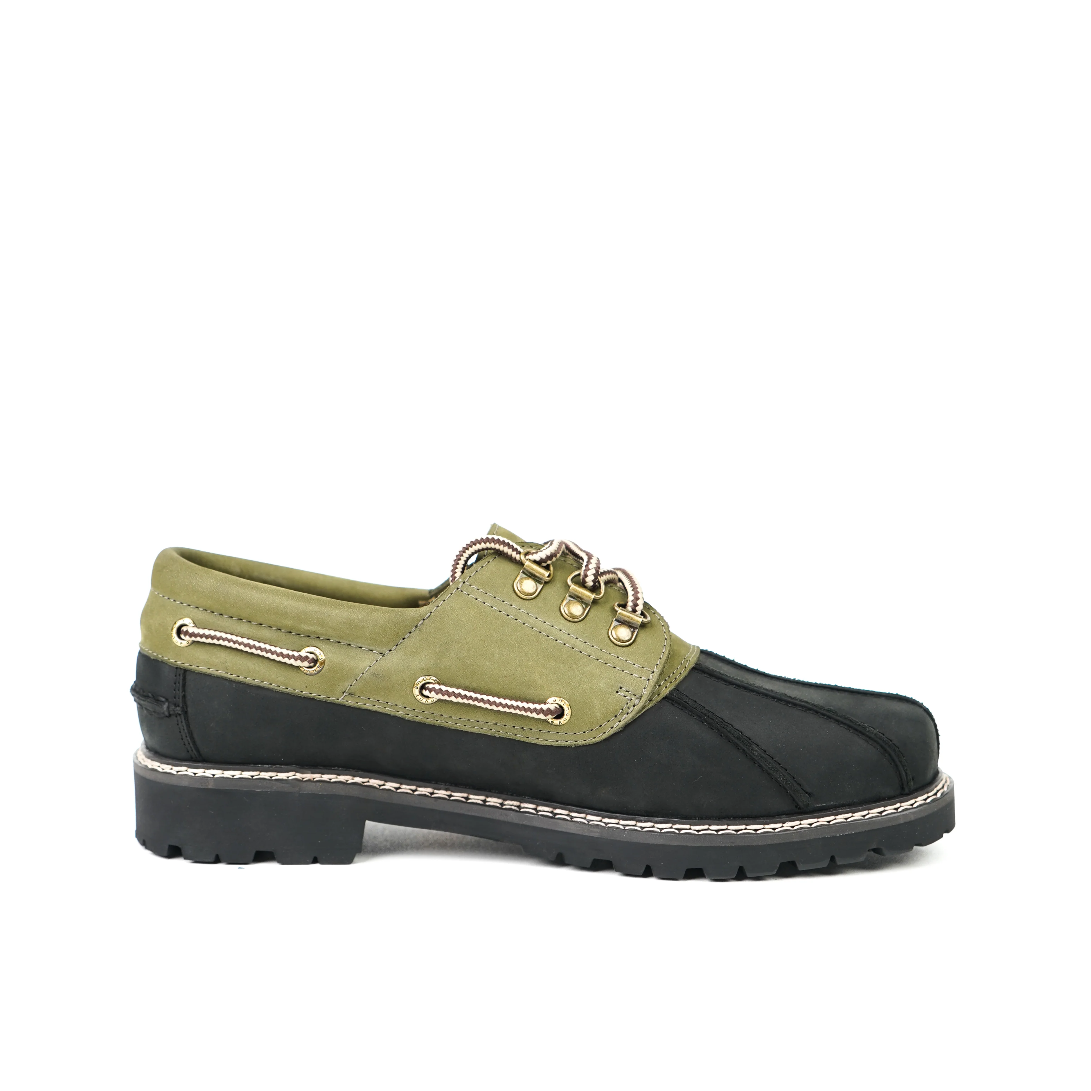 Oregon Olive - Image 3